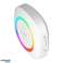 PELA DC. Drahtloses batteriebetriebenes Klingelsystem. Lernsystem. 60 Töne. LED RGB. 300 m. Weiß Bild 6