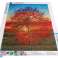 Diamond Embroidery Diamond Painting Diamond Mosaic Set 5D Pissenlit photo 2