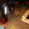 Verkstedlampe TRACER OMNI LED 2x3W 1200mAh bilde 4