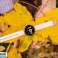 TRACER Smartwatch SMW9A SPARK 1.43 Amoled fotografija 6