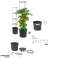 Tomato Pot Tomato Grower IPOM400 image 4