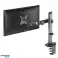 Support articulé pour moniteur Deluxe Ergo Office. 17&quot; 32&quot;. max. 9 kg. ER 448 photo 6