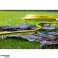 Vartco Light Plus Gartenschlauch 1/2&quot; 20m Bild 2