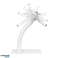 Advertising holder for tablet Maclean desktop with lock 7.9" 11" universal MC 468W image 3
