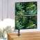 Support de moniteur Maclean. VESA max 100x100. 13 27 pouces. 9kg. MC 967 photo 6