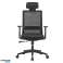Premium ergonomische bureaustoel met hoge rugleuning Ergo Office.  Max 150kg. ER 425 foto 1