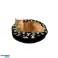Cat Bed FI50X10 Granule Mice image 1
