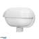 MUSAM. garden light with motion sensor 180 degrees. 1x60W. E27. IP44. with cover. plastic. white image 2