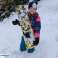 Patin à neige MASTER Sky Board - noir-bleu photo 3