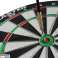 Sisal dartskive MASTER Grader 45 cm billede 2