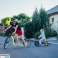 Bicicleta Balance MASTER Power Para Niños - azul fotografía 6