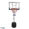 Basketball kurv MASTER Azazm 210 billede 1
