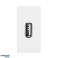 NOEN USB gegevens. module aansluiting 22.5x45mm USB gegevens 2.0. pinnen. wit foto 1