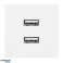 NOEN USB x 2. doppelter Modulanschluss 45x45mm mit USB-Ladegerät. 2.1A 5V DC. weiß Bild 1