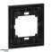 Single frame Onyx. Ra 1O. black image 5