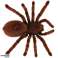 Spider TARANTULA Ferngesteuerter Fernbedienungsroboter FERNBEDIENUNG Bild 2