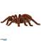 Spider TARANTULA Ferngesteuerter Fernbedienungsroboter FERNBEDIENUNG Bild 4