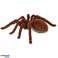 Spider TARANTULA Ferngesteuerter Fernbedienungsroboter FERNBEDIENUNG Bild 5