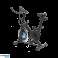 Spinningbike REBEL ACTIVE Modell RBA 1008 Bild 3