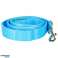 LED Leuchtende Hundeleine 2 5x120cm Blau Bild 1