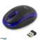 TM116B Titanum draadloze muis 2.4ghz 3d optisch usb vulture zwart-blauw foto 2