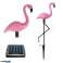ZD50K Lampe solaire flamant rose grande 3 pièces photo 3