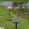 ZD50K Lampe solaire flamant rose grande 3 pièces photo 6