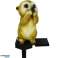 ZD50U Zonne-energie LED Marmot Lamp foto 1