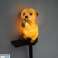ZD50U Zonne-energie LED Marmot Lamp foto 4
