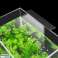 ZD80 Lampe d’aquarium 5w APT ZD80 photo 3