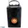 ZS53 Bluetooth luidspreker radio APT ZS53 foto 2