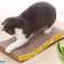 ZW6D Griffoir en vague pour chat photo 4