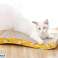 ZW6D Griffoir en vague pour chat photo 5