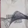 Hugo Boss Vente en gros hommes&amp;#039 ; S Assortiment de t-shirts 10pcs. photo 4