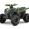 Quad XTL Tyrannosaurus 125cc 4-taktsmotor, luftkjølt - kraftig og Pålitelig for ethvert terreng bilde 6