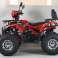 Quad XTL Wild 125cc – De automatische quad met 125cc 4-takt motor &amp; Lucht foto 4