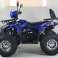 Quad XTL Wild 125cc – De automatische quad met 125cc 4-takt motor &amp; Lucht foto 6