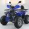 Quad XTL Wild 125cc – De automatische quad met 125cc 4-takt motor &amp; Lucht foto 5