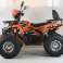Quad XTL Wild 125cc – De automatische quad met 125cc 4-takt motor &amp; Lucht foto 3