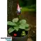 GARDEN GNOME DECORATION image 2