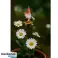 GARDEN GNOME DECORATION image 1