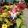 GARDEN GNOME DECORATION image 4