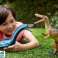 Jurassic World Styxosaurus Figur Bild 5