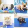 COOLING MAT FOR DOG AND CAT WATERPROOF GEL COOL BED 50x40cm image 1