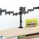 Desk Mount for 3 LCD Monitors Maclean. dual arms. VESA 75x75 and 100x100. 13" 27". 8kg. MC 691 image 5