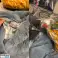 ab 20 € Lot 4 Damen/Herren Winterjacken Mix, A Ware, B Ware, Retouren, Restposten, Mixpaletten, Palettenware, Second Hand, Sonderposten, Kg Großhandel Bild 1
