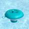 NEL 17002 Kleiner Schwimmer. Bestway 58210 Spender für Poolchemikalien Bild 1