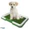AG350 LITTER BOX FOR PUPPIES DOG GRASS image 1