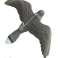 AG384A FALCON BIRD REPELLER VOLANT photo 1