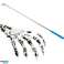 AG408A BACK SCRATCHING POST PAW image 3